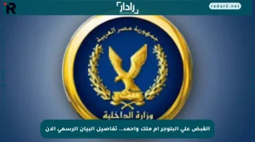 القبض على البلوجر أم ملك وأحمد.. تفاصيل البيان الرسمي الآن